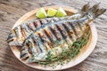 Grilled Dorade Royale Fish Royalty Free Stock Photo
