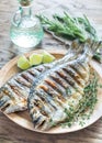 Grilled Dorade Royale Fish Royalty Free Stock Photo