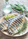 Grilled Dorade Royale Fish