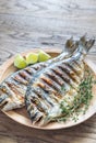 Grilled Dorade Royale Fish Royalty Free Stock Photo