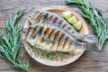 Grilled Dorade Royale Fish