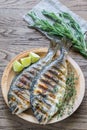 Grilled Dorade Royale Fish Royalty Free Stock Photo