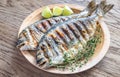 Grilled Dorade Royale Fish