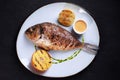 Grilled dorado fish with citrus and sauce Royalty Free Stock Photo