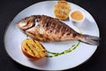 Grilled dorado fish with citrus and sauce Royalty Free Stock Photo