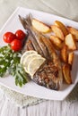 Grilled dorado fish with fried potatoes and tomato close-up Royalty Free Stock Photo