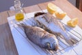 Grilled dorado fish on a grill grate with lemon and olive oil bottle Royalty Free Stock Photo