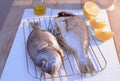 Grilled dorado fish on a grill grate with lemon and olive oil bottle on white Royalty Free Stock Photo