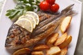 Grilled dorado fish with potatoes closeup. horizontal top view Royalty Free Stock Photo