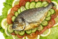 Grilled dorado fish with vegetables: salad, tomatoes, cucumber, green pepper and lemon on white background Royalty Free Stock Photo