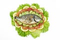 Grilled dorado fish with vegetables Royalty Free Stock Photo