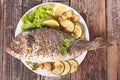 Grilled dorado fish Royalty Free Stock Photo