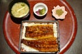 Grilled eel fish or unagi with soy sauce on rice premium Japanese food Royalty Free Stock Photo