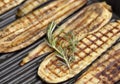 Grilled Eggplant Royalty Free Stock Photo