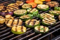 grilled eggplant and squash on a vegetable grill Royalty Free Stock Photo