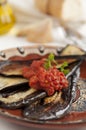 Grilled Eggplant with Tomato Sauce Royalty Free Stock Photo