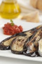 Grilled Eggplant with Tomato Sauce Royalty Free Stock Photo