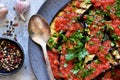 Grilled eggplants with tomato sauce and garlic in a plate Royalty Free Stock Photo