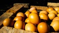 Grilled eggs on the hot brick for sale in the local market Royalty Free Stock Photo