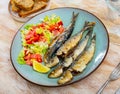 Grilled sardines served with fresh vegetable salad Royalty Free Stock Photo