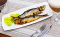 Grilled sardines served with fresh vegetable salad Royalty Free Stock Photo