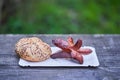 Grilled on fire small pork sausage with whole grain bread bun on paper plate. Royalty Free Stock Photo