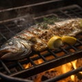 Grilled fish