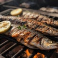 Grilled fish