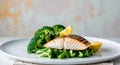 Grilled Fish with Broccoli and Lemon on a Plate Royalty Free Stock Photo