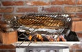 Grilled fish coal Royalty Free Stock Photo