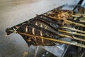 Grilled fish is on the counter of a street shop. Street food in Asia Royalty Free Stock Photo