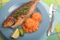 Grilled fish dinner Royalty Free Stock Photo