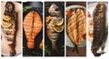 Grilled fish dishes collage including sea bass, dorado, salmon steak. Royalty Free Stock Photo