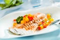 Grilled fish fillet with a colorful fresh salad Royalty Free Stock Photo