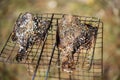 Grilled fish flounder lying on portable grill. Cooking outdoors, dinner in nature Royalty Free Stock Photo