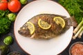 Grilled fish with fresh vegetables, on a wooden black background. I also eat healthy food. Seafood, Eastern or European cuisine Royalty Free Stock Photo