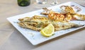 Grilled fish Freshly caught fresh raw prawns. Shrimp delicious and gourmet seafood. Royalty Free Stock Photo