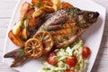 Grilled fish with fried potatoes and salad horizontal top view Royalty Free Stock Photo