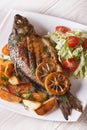 Grilled fish with fried potatoes and salad vertical top view Royalty Free Stock Photo