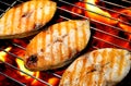 Grilled fish Royalty Free Stock Photo