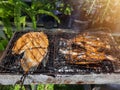 Grilled fish on the grill. Nile tilapia and pangas catfish on the grill. food photography. Outdoor cooking for lunch