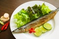 Grilled fish