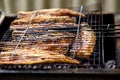 Grilled fish mackerel, cooked on the grill in the open air flow tasty and fresh food, picnic outdoor recreation