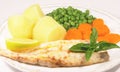 Grilled fish meal 2 Royalty Free Stock Photo