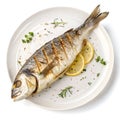 Grilled fish on a plate isolated on white background Royalty Free Stock Photo