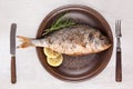 Grilled fish on plate, top view. Royalty Free Stock Photo