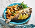 Grilled fish with potato on a plate Royalty Free Stock Photo