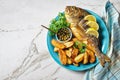 Grilled fish with potato on a plate Royalty Free Stock Photo