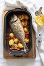Grilled fish with potatoes and vegetables in a casserole dish Royalty Free Stock Photo
