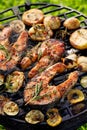 Grilled fish, grilled salmon steak with the addition of rosemary, aromatic spices and vegetables on the grill plate outdoors Royalty Free Stock Photo